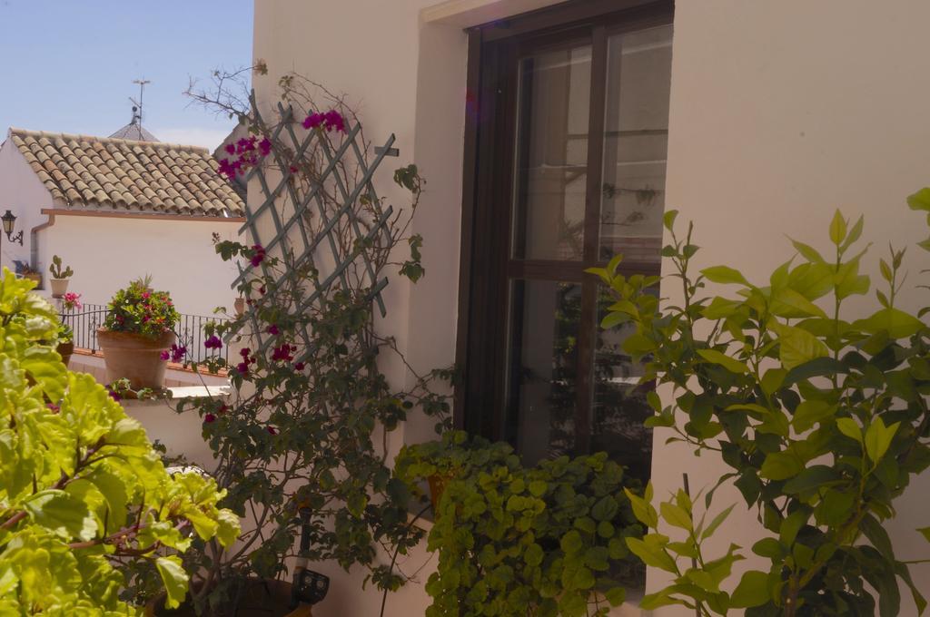 Апартаменты Penthouse Puerta De La Juderia Кордова Экстерьер фото